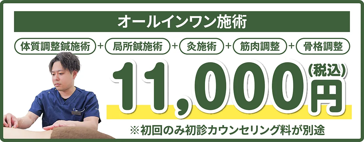 オールインワン施術　体質調整鍼+局所鍼施術+灸施術+筋肉調整+骨格調整　11,000円(税込)　※初回のみ初診カウンセリング料が別途